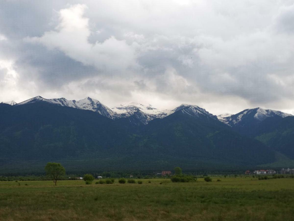 Todeva House Hotel And Tavern Bansko Bagian luar foto